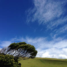 Kiama coastal walk, NSW