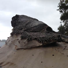 West Head, Ku-Ring-Gai Chase National Park