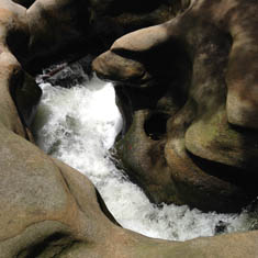 Fishponds, Berowra Valley